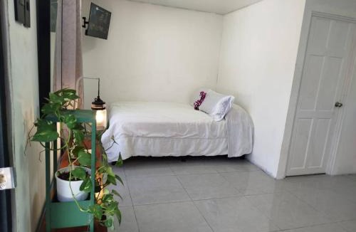 La Cruz House | Serene Cabin Retreat in Cuajiniquil, Costa Rica