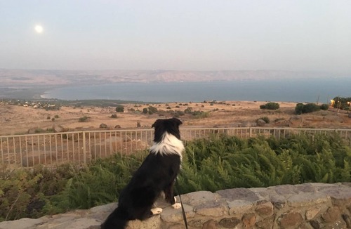 Amnon House | Serenidad ★ Private 5 stars ★ modern Galilee bliss