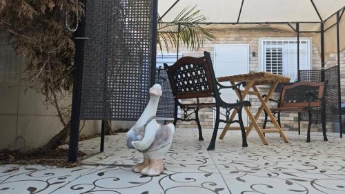 Beersheba Apartment | Shahal Apartments