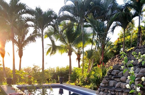 Cedros House | Splendid Serviced Guest House Ocean view Montezuma