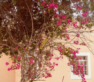 Salalah Villa | Star Emirates Garden Villas Salalah