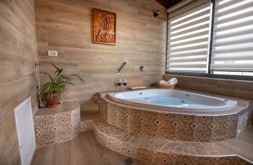 Yavne'el Apartment | Suite Kolibri in Galilee