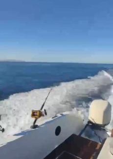 Sheraton Road -Sakkala Boat Rental | Tai Speedboat orange bay Island- Paradis Island- Dolphin - hula hula Island - Magawish island-etc