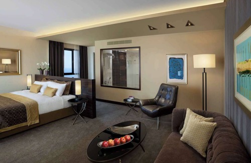 Panorama Street Hotel | The Dan Carmel Hotel