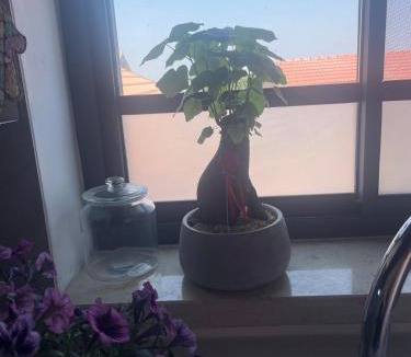 Yodfat Apartment | The house in Shiloah