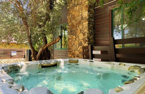 Rosh Pinna Villa | THE HOUSE ROSH PINA - 2BRM WITH POOl