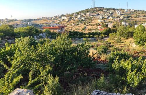 Ajloun Governorate Ski Chalet | The Mountain Village View اطلالة الجبل