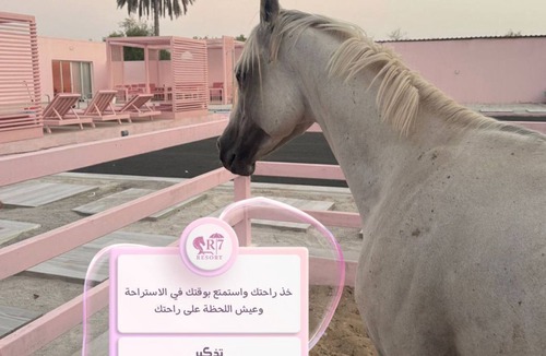 Al Rahba House | The pink private swimming pool chalet & villa