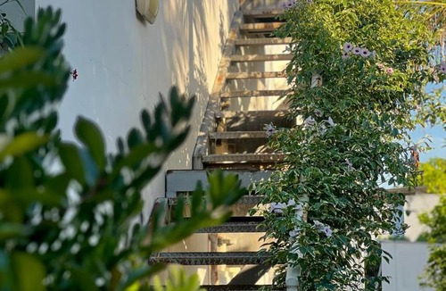 Kfar Blum Apartment | The Roof