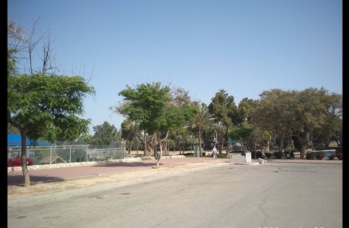Beersheba Apartment | The small sakura garden