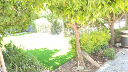 Dafna House | The stone house by the river וילה ליד הנחל