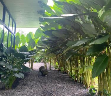 Penas Blancas Villa | Toucan home