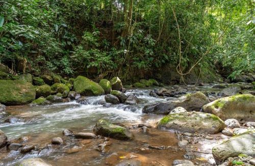 Penas Blancas House | Toucan River Retreat - River Access, AC & Jacuzzi