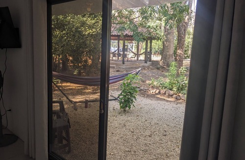 Coco Apartment | Tranquil Jungle Studio Retreat Near Del Coco Beach