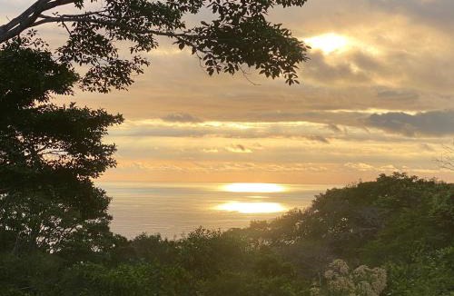 Dominical Bed & Breakfast | Tree of Life Cabinas