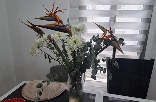 Rehovot Apartment | Turdeluxe company 4 room apartment with breakfast