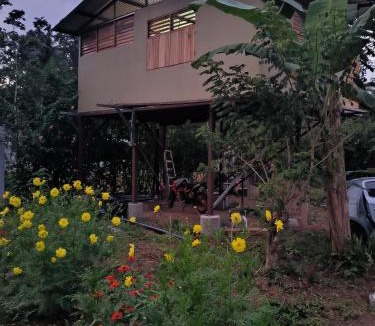 Cahuita Apartment | Villalu.