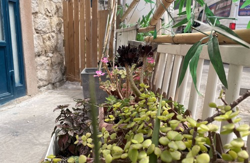 Haifa Apartment | "Wadi Nisnas Vintage Apartment! Baha'i Gardens, German Colony, and Downtown"