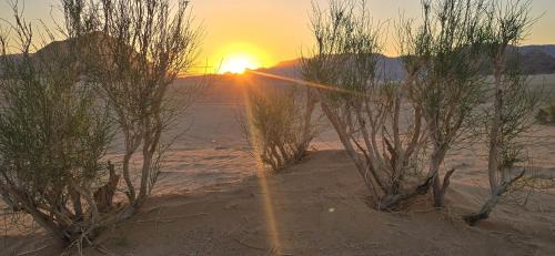 Wadi Rum Hotel | Wadi Rum -Lekshary Hamza 55