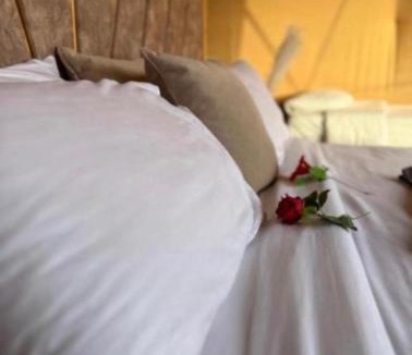 Wadi Rum Hotel | wadirumtours&camp