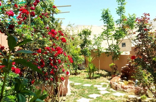 Wadi Musa House | WHY NOT BEDOUIN HOUSE