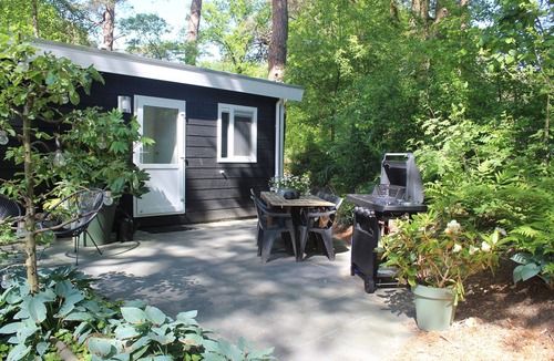 Diever Ski Chalet | Woodland Wellness Natuur Huisje in het bos met Finse Sauna en Hottub