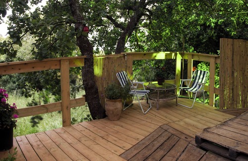 Amirim Ski Chalet | Yurt Located in a Little oak Grove