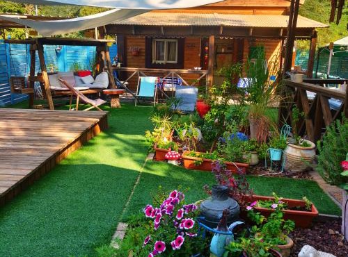 ליבי במדבר מרחב לאקולוגיה של הריפוי Libi Bamidbar The Ecology of Healing Resort