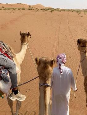 الشاكرية