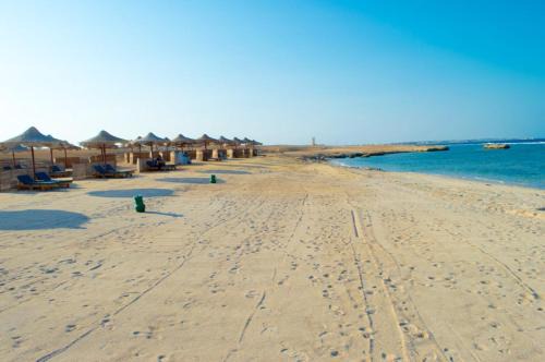 شاليه 2 غرفه in Marsa Alam