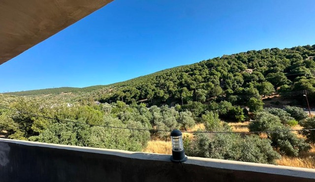 مطل محنا الجبلي