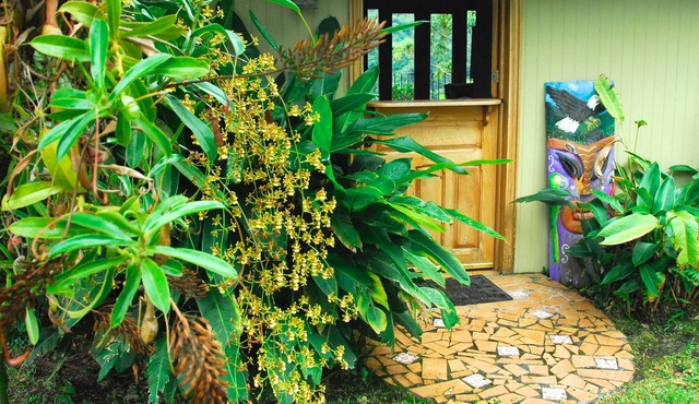 5 Star Charming Private Mountain Bungalow w/Volcano View Perfect Climate Utopia