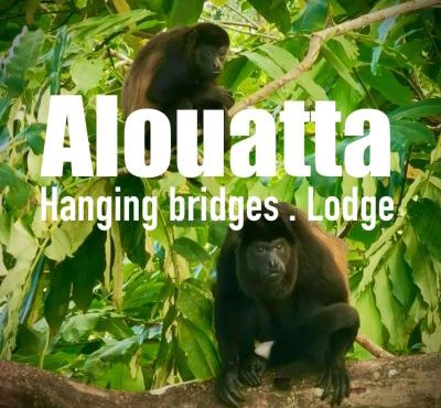 Alouatta Lodge and Canopy