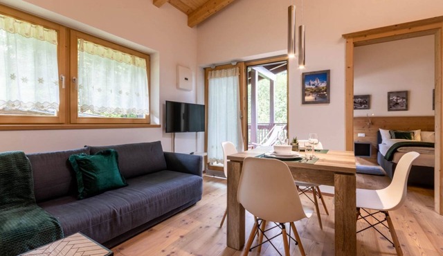 Alpine View App. - 300 meters from Plan de Corones in Casola