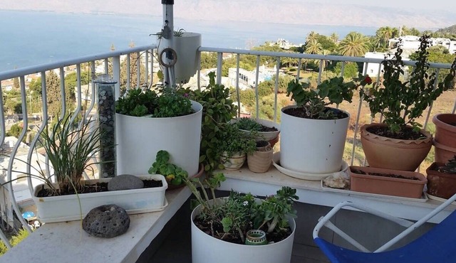 Amazing Sea of Galilee View Room