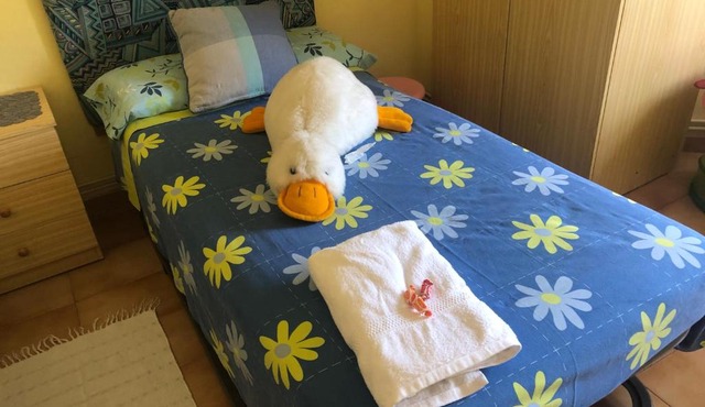 Apartamentos MyM in Jaca