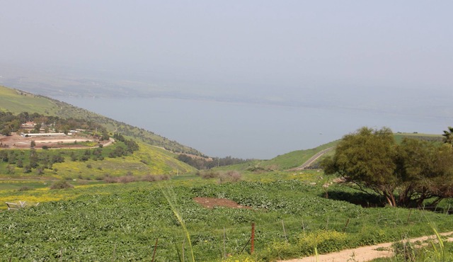 Arbel Guest House Shavit Family