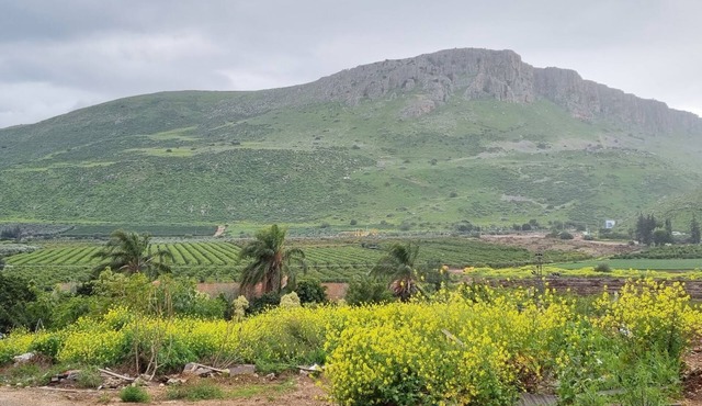 Arbel House Apartment