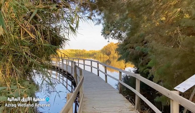 Azraq Lodge