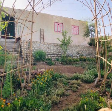 Bastet House & Haraka Baraka botanical Garden