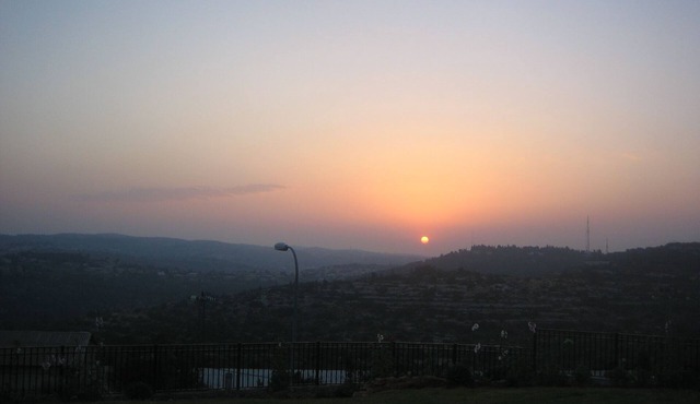 Beautiful estate with large garden and swimming pool 15 minutes from Jerusalem