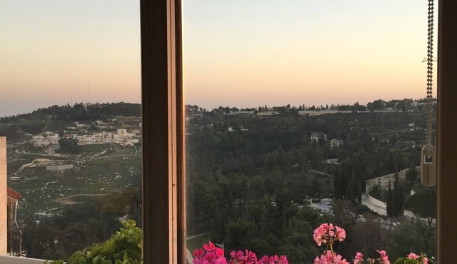 Beautiful views - walk to restaurants, theaters, First Station, & Old City
