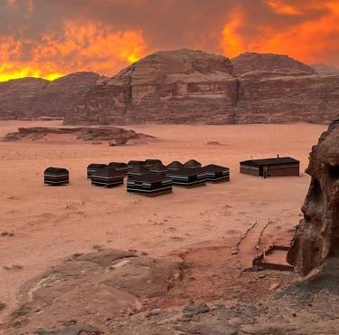 Bedouin host camp& with tour