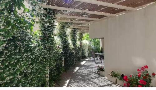Bitra hermon suites