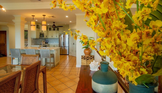 Boungainvillea 3315 Luxury Penthouse - Reserva Conchal