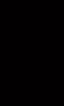 Bright Stars Camp