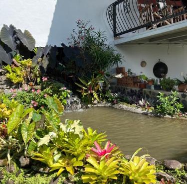 Bromelia House