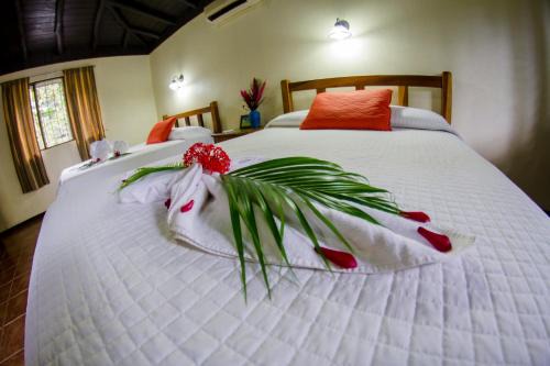 Cañon de la Vieja Lodge