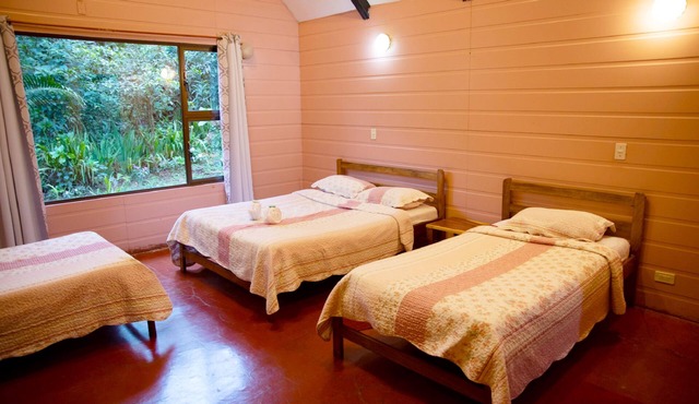 Cabañas Las Orquideas in Miramar