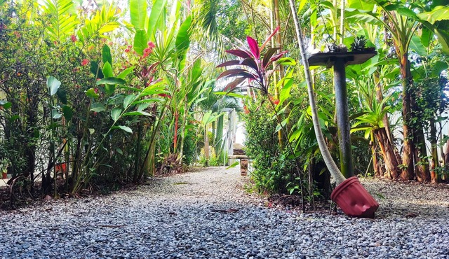 Cabinas Tropicales